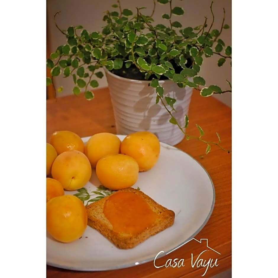 Casa Vayu - Rooms & Garden