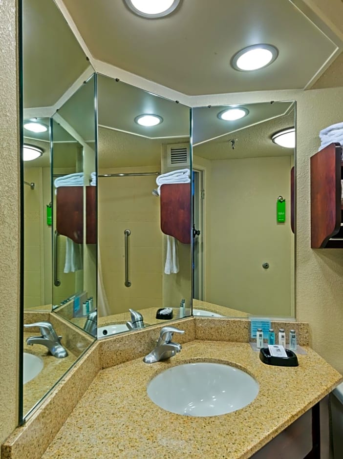 Hampton Inn I-10 & College Drive