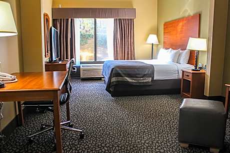 King Room - Disability Access - Non-Smoking