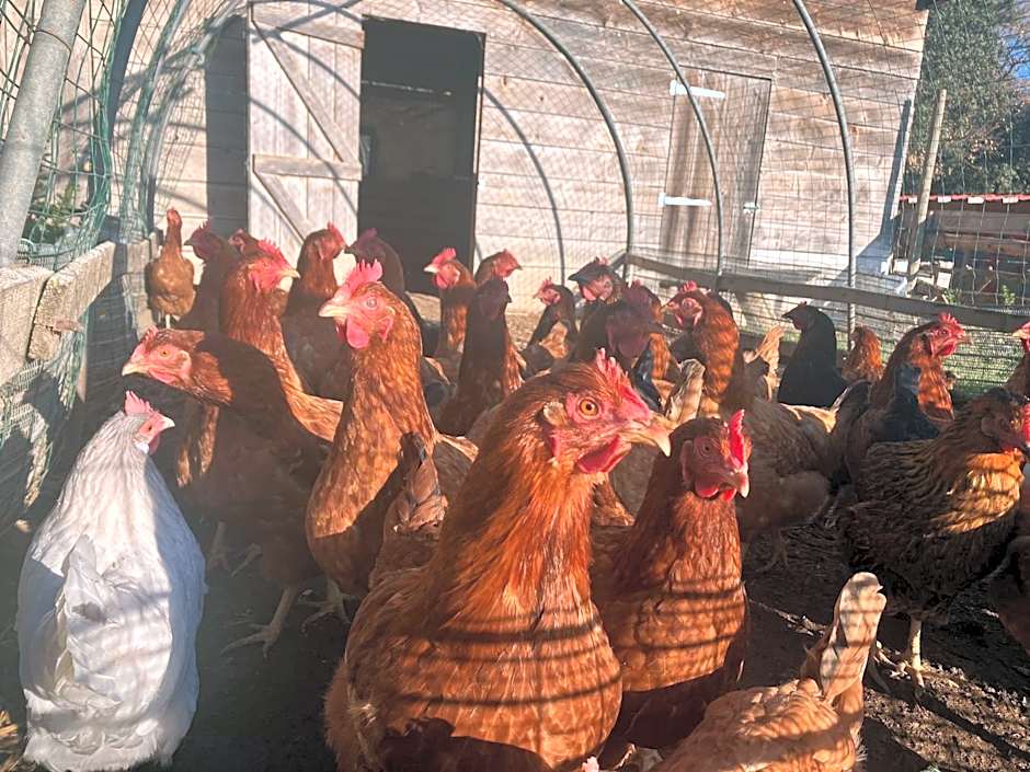 Appart Hôtel - Nature et Spa