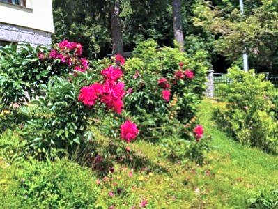 Pokoje ze śniadaniami Słoneczna Róża Szklarska Poręba