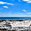 Plantation Dunes #5101