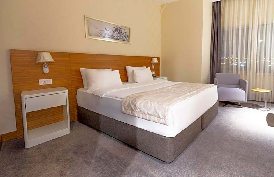 Zdjęcie 1 z 5 — Executive 1 King Bed