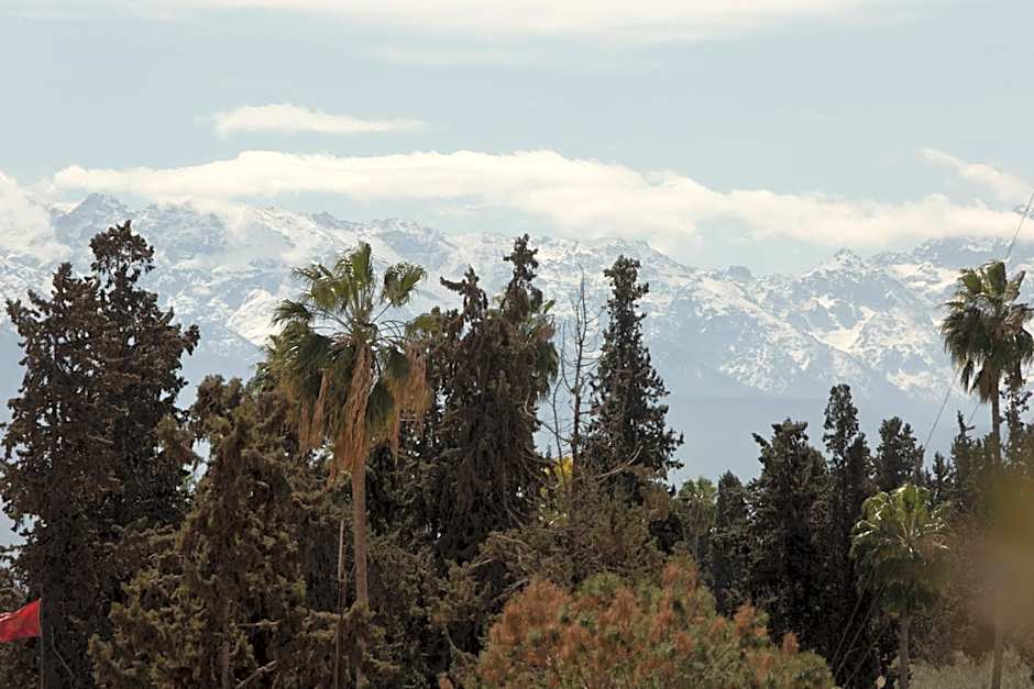Les Jardins De La MÃ©dina