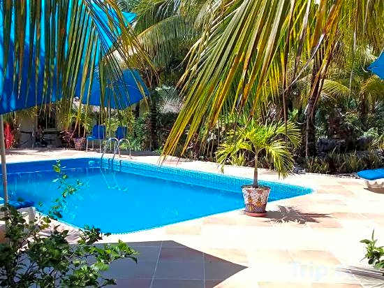 Villa Tortugas