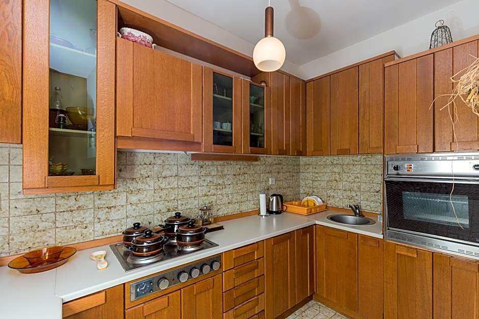 Big Terrace Apartment