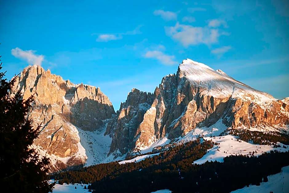 COMO Alpina Dolomites