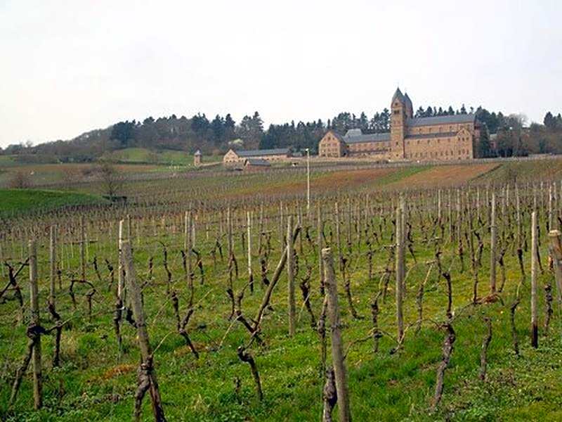 Weingut Jacob Lill IV. Nachfolger