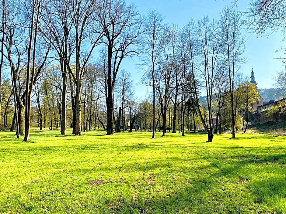 Zamek Sarny - Schloss Scharfeneck