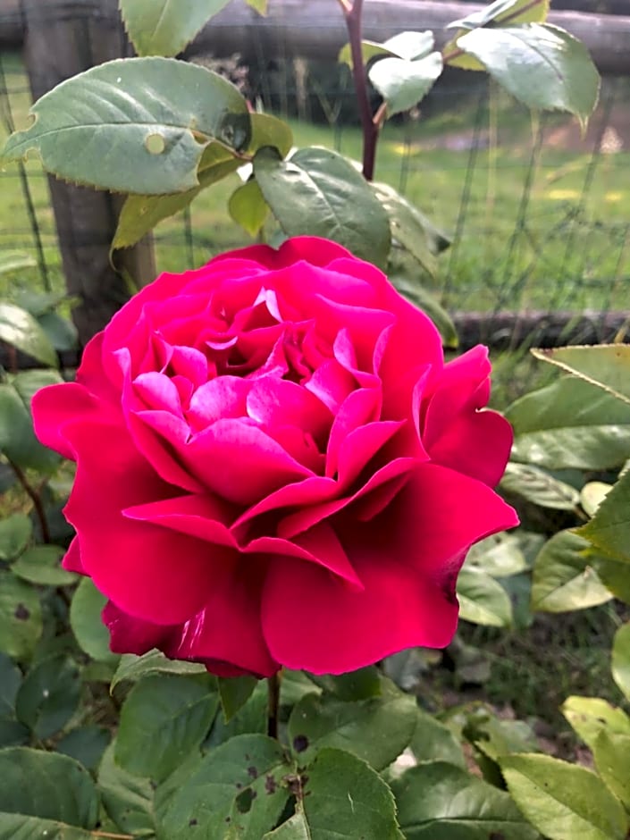 La Grange d'Hélène