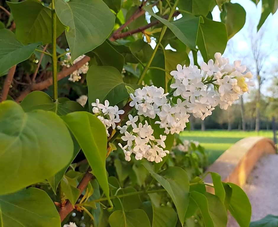 Château de la Venerie