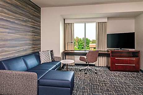 Studio, 1 King Bed with Sofa bed (1 King Bed and 1 Double Sofa Bed)