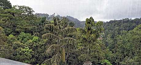 C162 Silverpark(walk up 3 floor from ground)