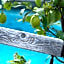 Hotel - Appartements Schmied Hans