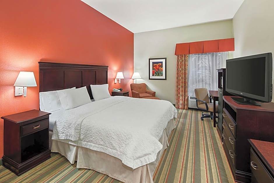 Hampton Inn By Hilton Richmond-Southwest-Hull Street