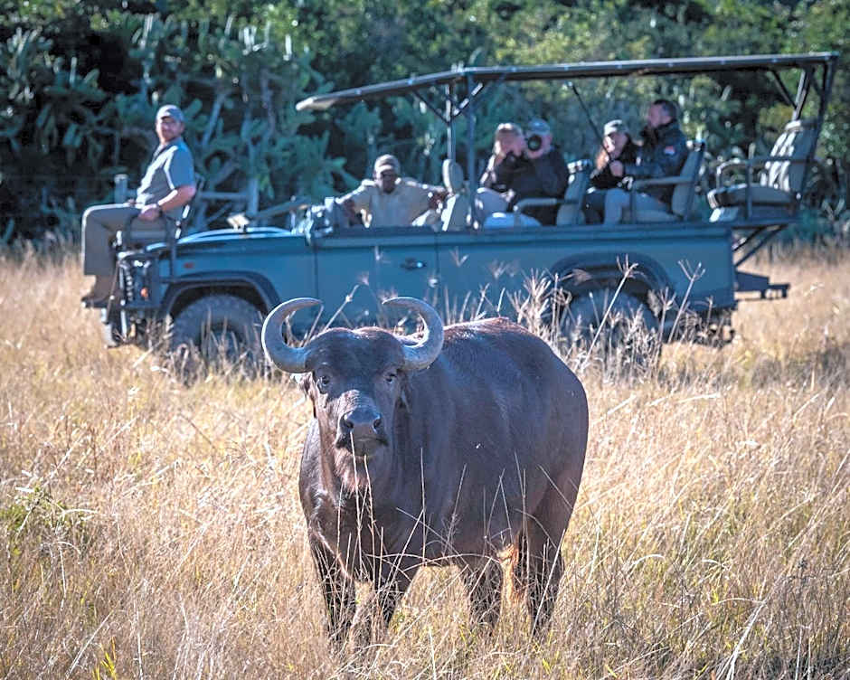 Addo Elephant Safari Lodge - Bellevue Forest Reserve