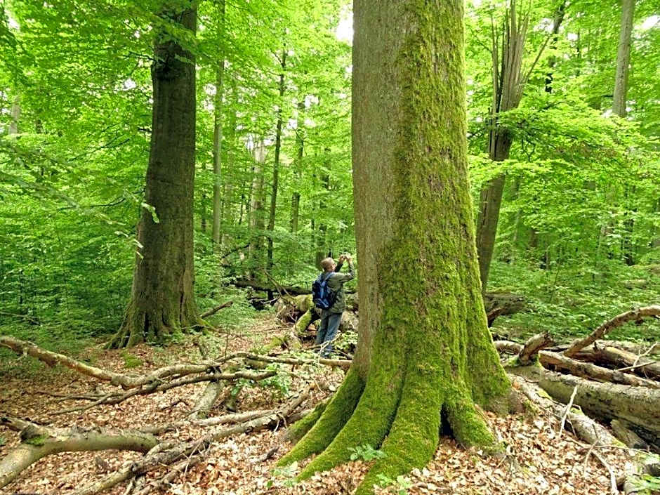 Hotel garni Lindenhof im Steigerwald