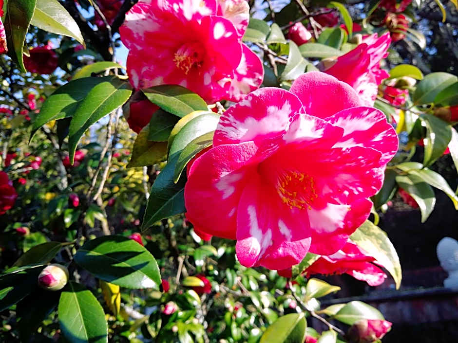 Hôtel Chantaco Golf & Wellness