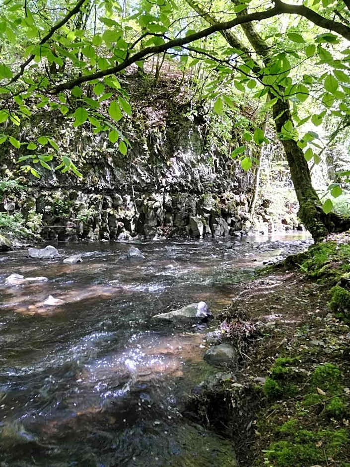 Hotel Fürstenhof Bad Bertrich