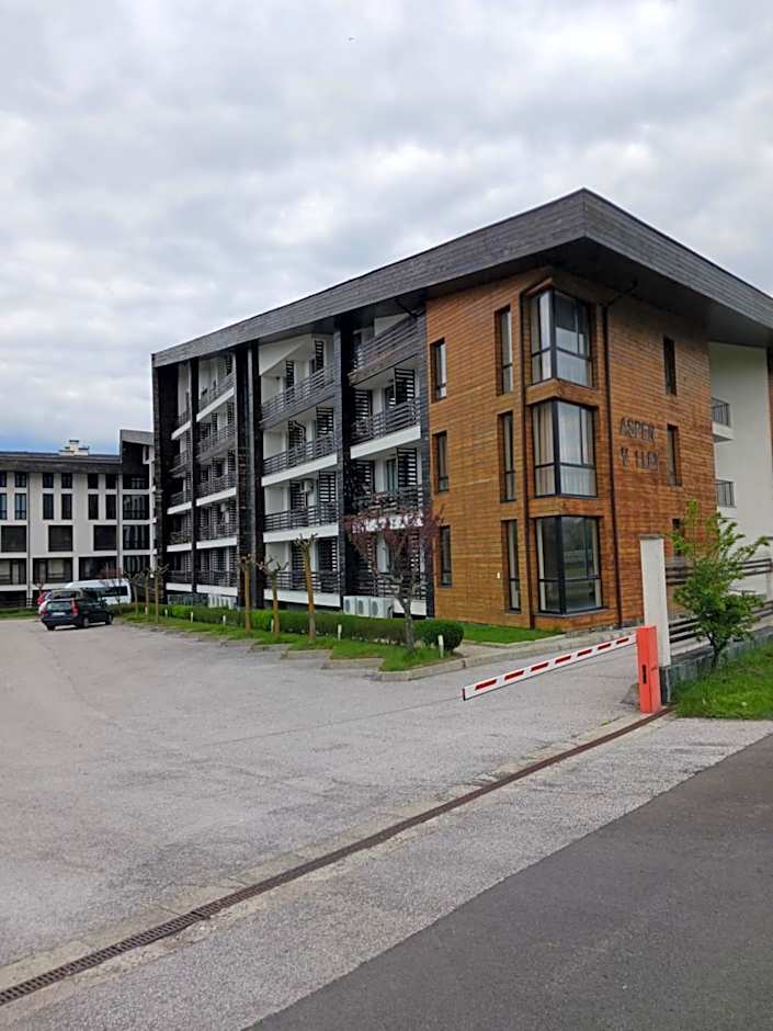 Аспен валей С420