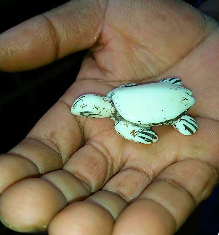 Cybele Lodge Boutique Bed and Breakfast