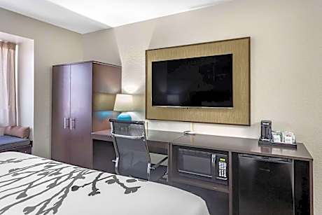 King Room - Accessible/Non-Smoking