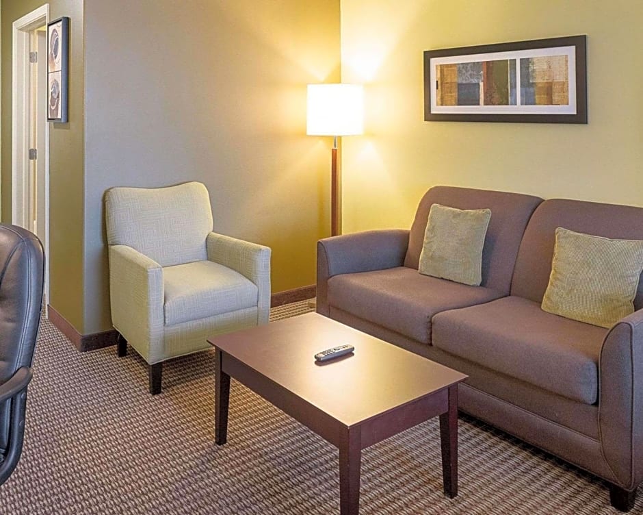 Comfort Suites Harvey - New Orleans West Bank