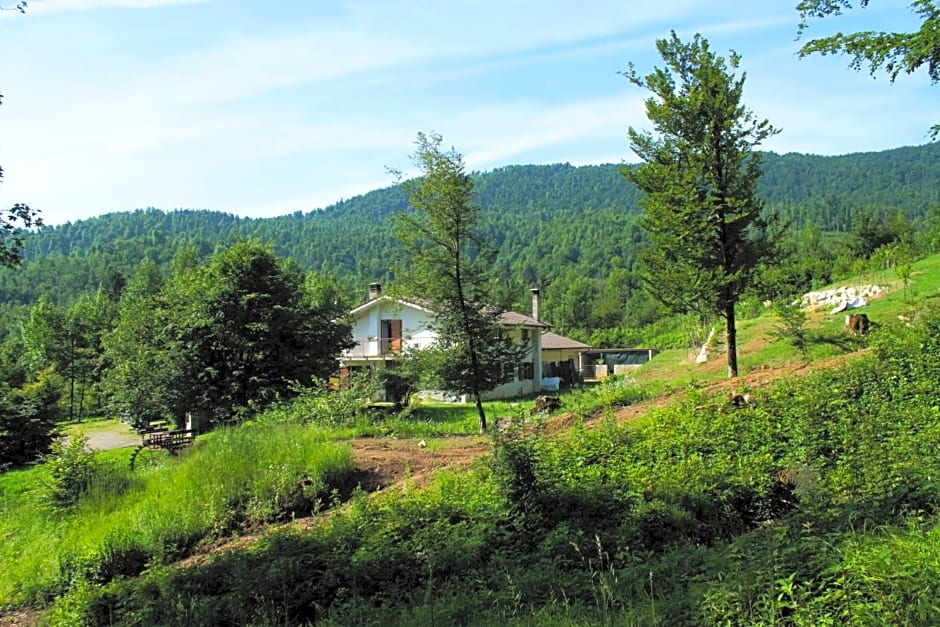Bosco delle Rune ..un angolo di paradiso