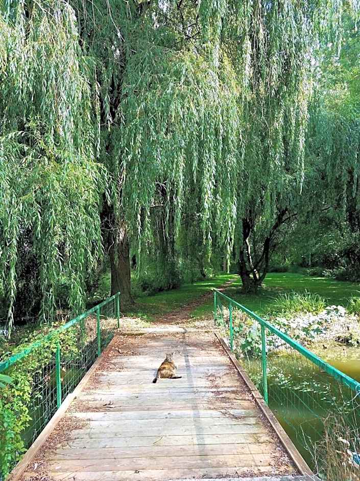 Propriété Les Ruisseaux