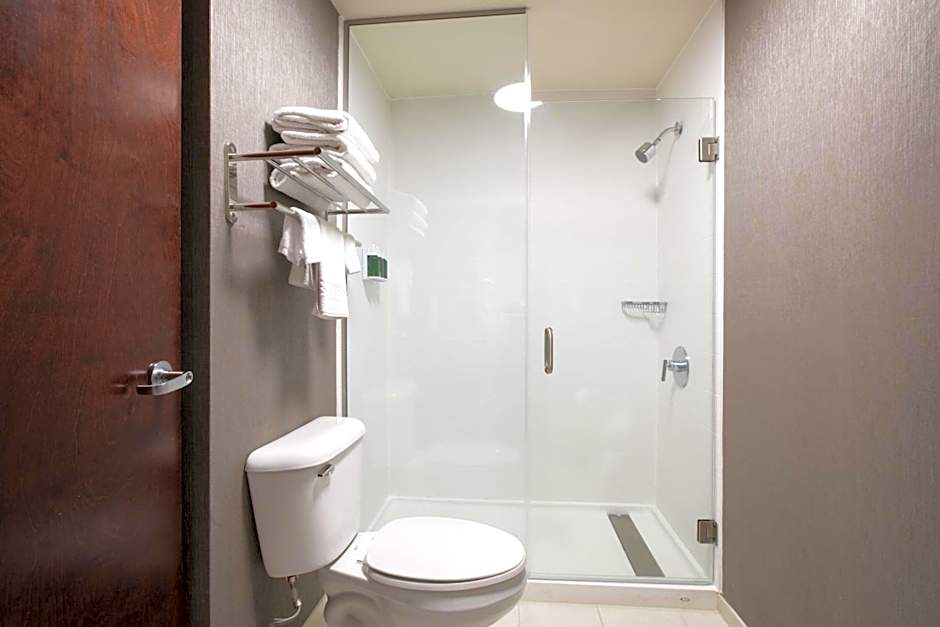 SpringHill Suites by Marriott Savannah Airport