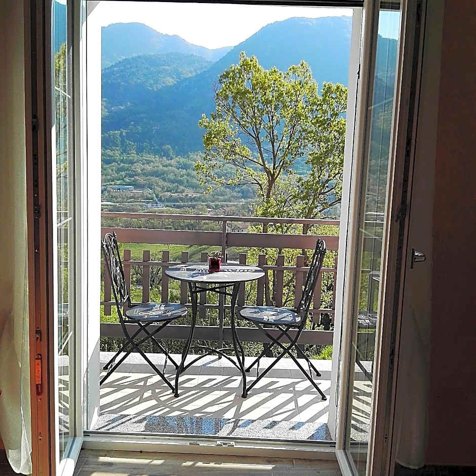 Nel verde di Carinci