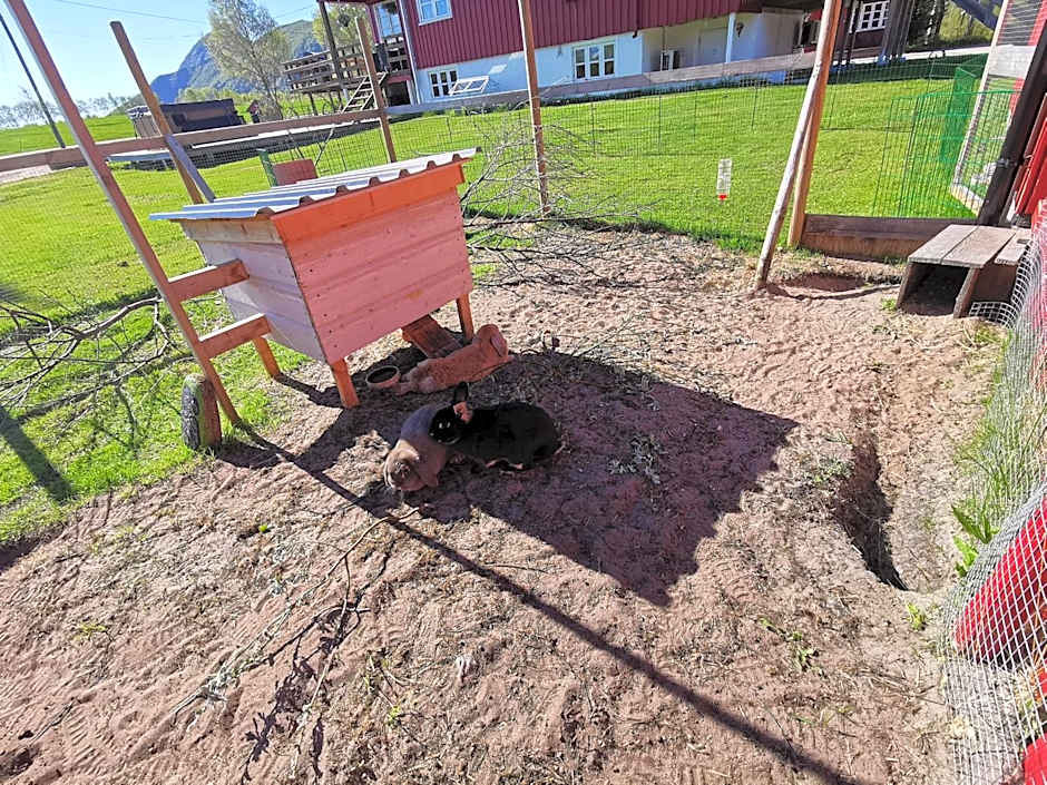 Reipå Camping