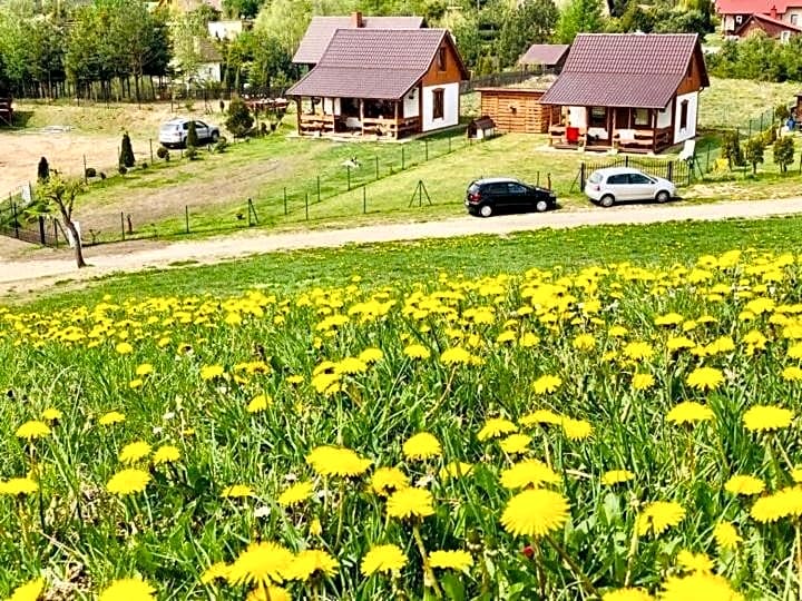 Domek Eden 1 Kaszuby balia sauna alpaki mini zoo