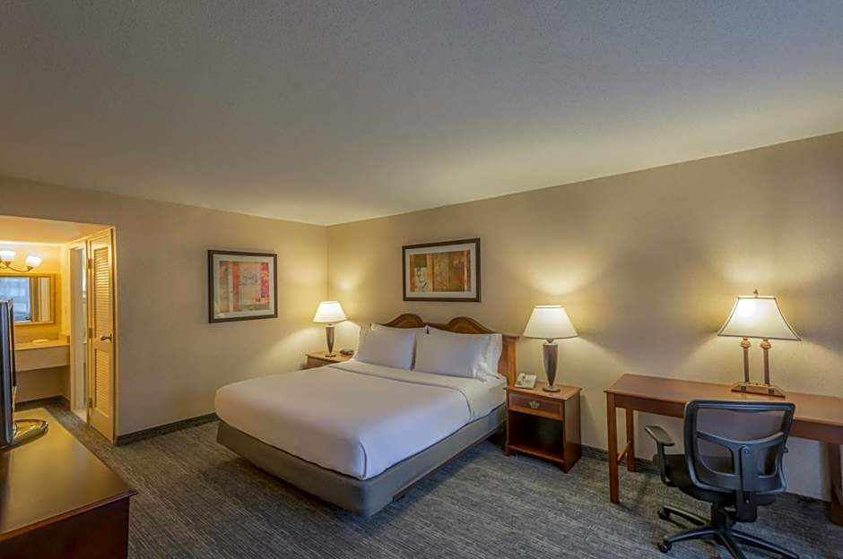 Holiday Inn Arlington at Ballston by IHG – Arlington, VA