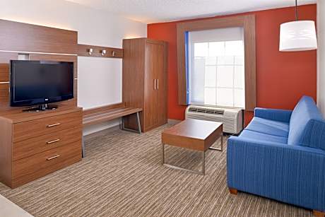 Suite King Bed Non Smoking