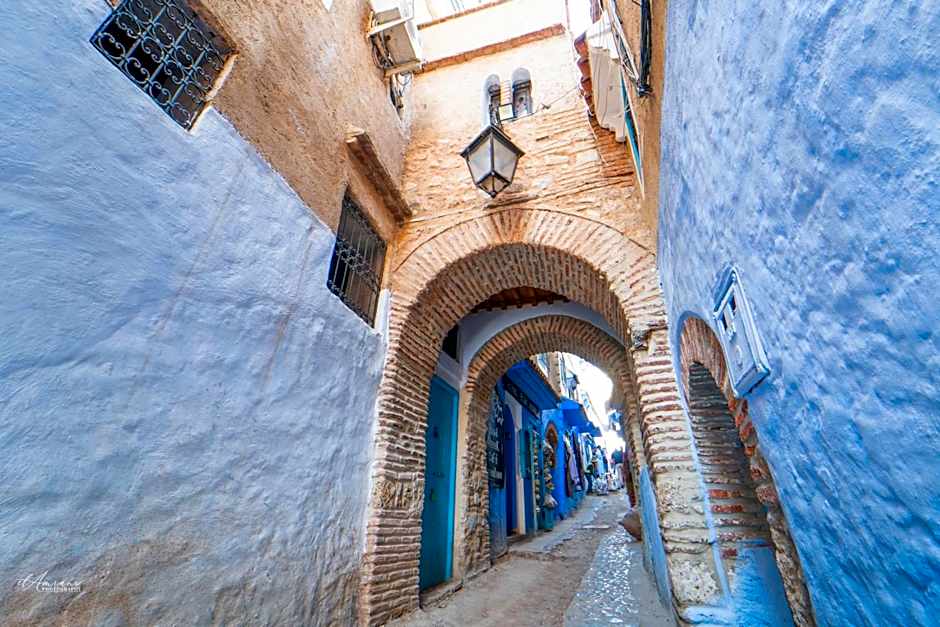 Riad Antek