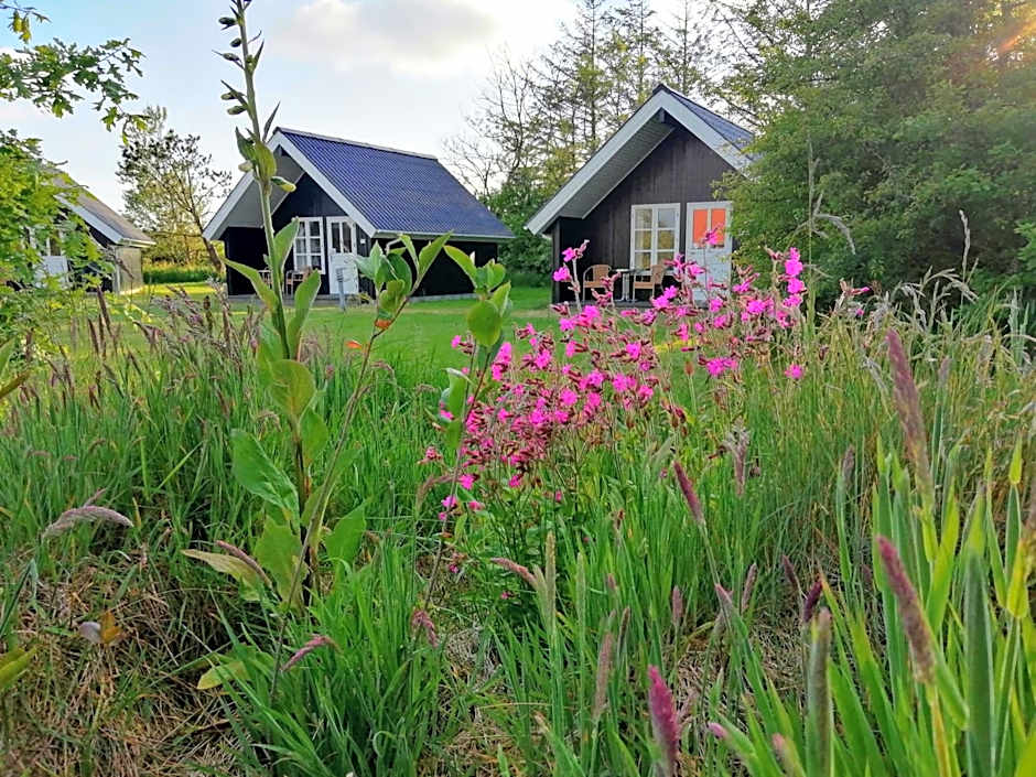 Lindvig - Ferie i naturen