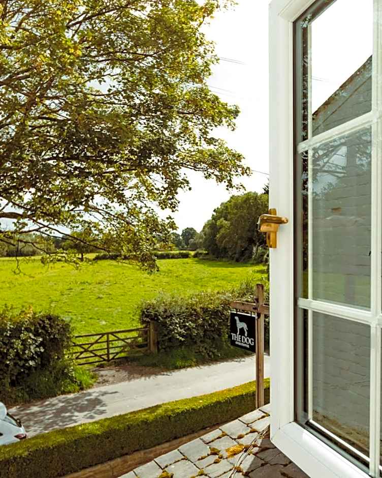 The Dog in Over Peover