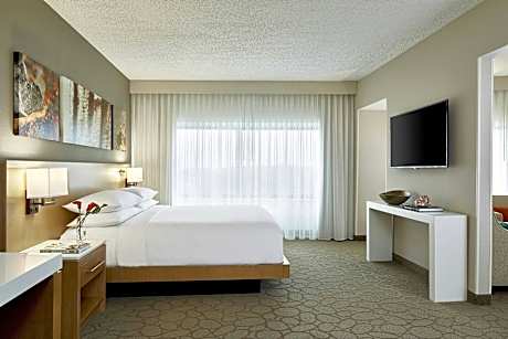 Presidential Suite, Suite, 1 King, Sofa bed