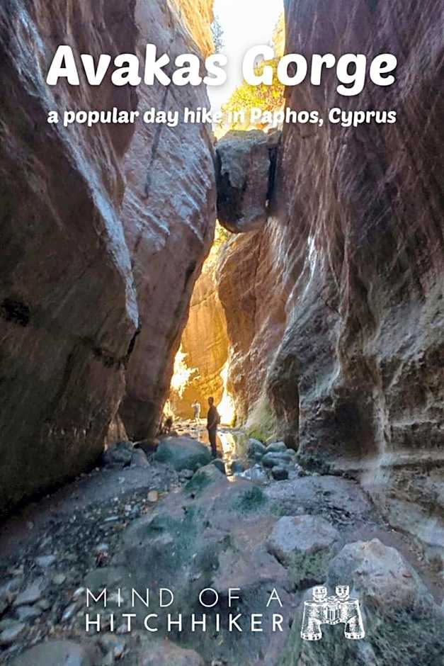 Arodes AsteriA Volunteer & Youth ECO-house