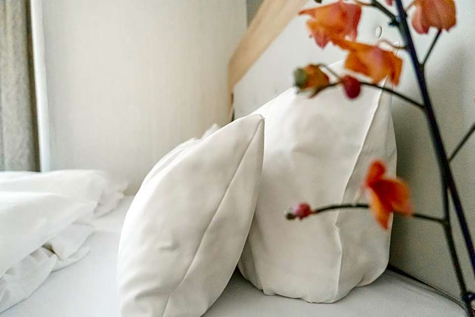 Ambient Hotel Zum Schwan