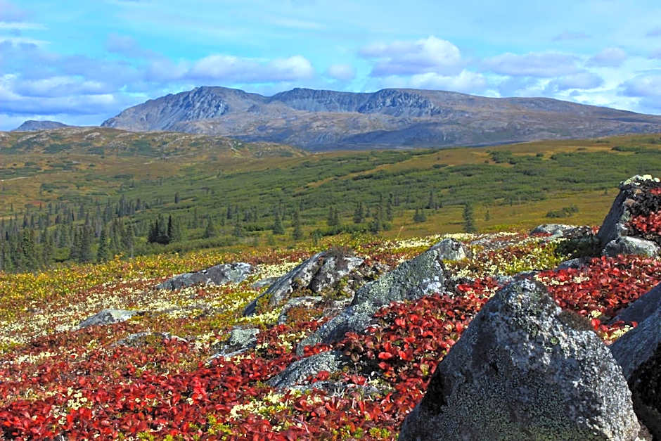 Caribou Lodge Alaska
