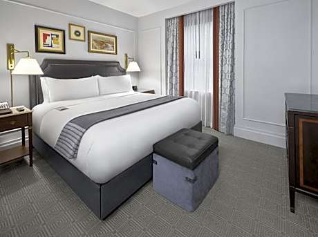 Premium Suite