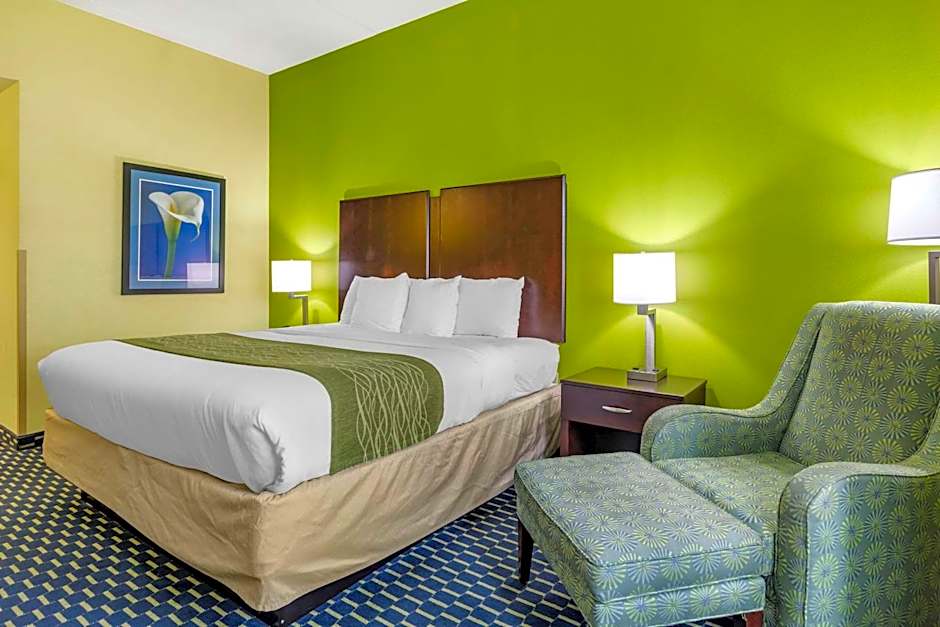 Comfort Inn Athens