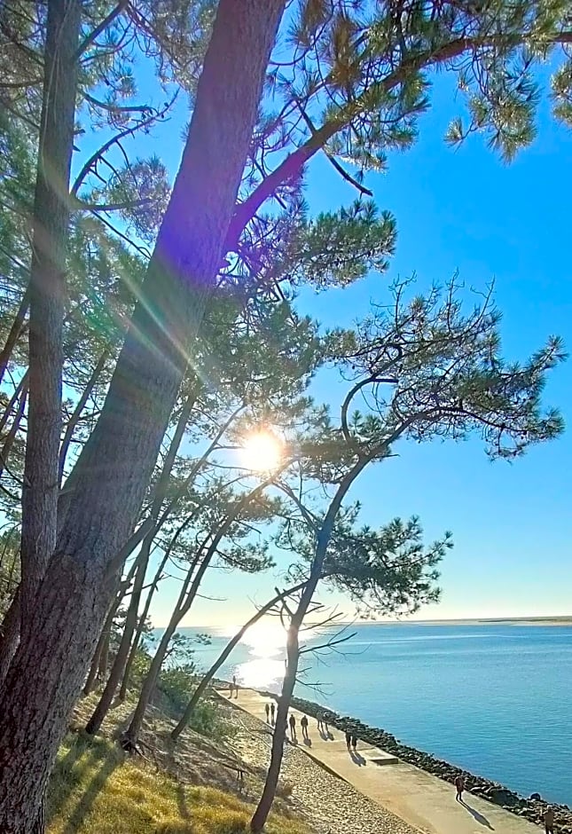 La Cabane Bohème, Maison d'hôtes Bassin d'Arcachon