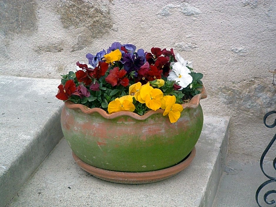 Paul's Barn in France