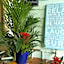 La Costa Beachside Motel