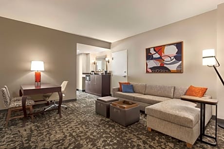 Deluxe King Suite - Non-Smoking