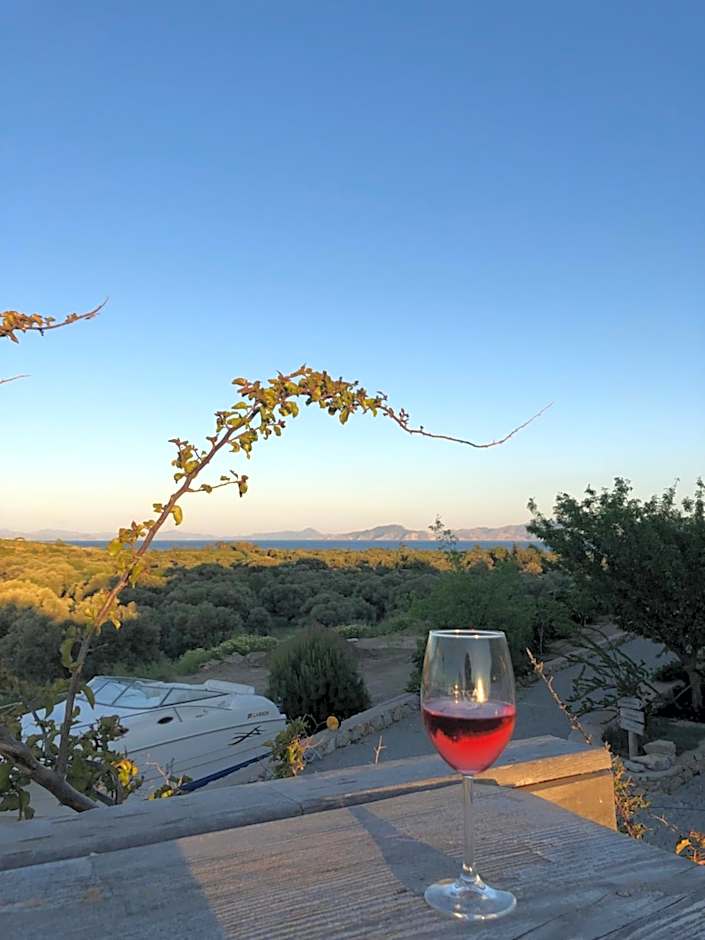 Datça Vineyard Guesthouse - Over 14 years old only