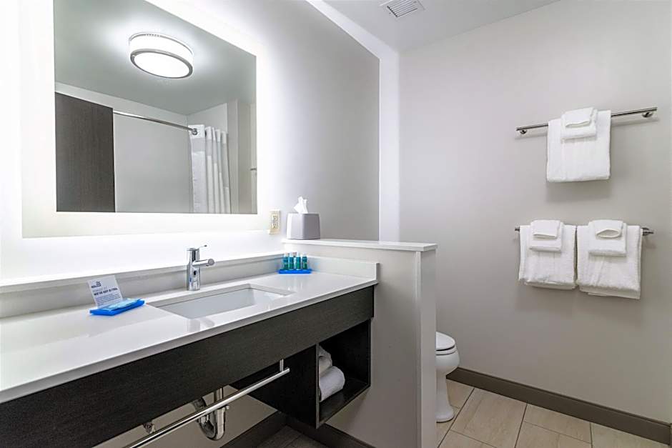 Holiday Inn Express And Suites Allen Park By IHG